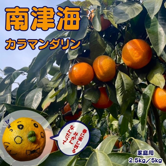 【先行予約】 南津海 家庭用 B品 【4月より順次発送】 愛媛 農家 直送 |2.5kg / 5kg サイズ混合| なつみ カラマンダリン 希少品種 春柑橘 ジ...