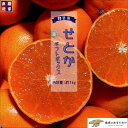 【先行予約】せとか 贈答用【2月下旬より順次発送】愛媛農家直送|ギフトボックス 1kg|柑橘の大トロ 高級 愛媛産 ギフト プレゼント ホワイトデー お得クーポ...