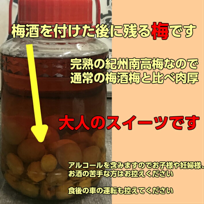 梅酒うめ 800g 完熟紀州南高梅 梅酒梅 う...の紹介画像2