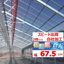 花野果蒼天 ソウテン 0.15mm厚 67.5cm幅 2枚セット POフィルム 透明 農業用 ビニールハウス用 トマト キュウリ ナス ピーマン イチゴ 花キ ...