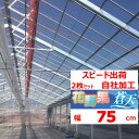 花野果蒼天 ソウテン 0.15mm厚 75cm幅 2枚セット POフィルム 透明 農業用 ビニールハウス用 トマト キュウリ ナス ピーマン イチゴ 花キ 希望...