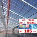 花野果蒼天 ソウテン 0.15mm厚 105cm幅 2枚セット POフィルム 透明 農業用 ビニールハウス用 トマト キュウリ ナス ピーマン イチゴ 花キ 希...