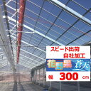 花野果蒼天 ソウテン 0.15mm厚 300cm幅 POフィルム 透明 農業用 ビニールハウス用 トマト キュウリ ナス ピーマン イチゴ 花キ 希望の長さ(m...