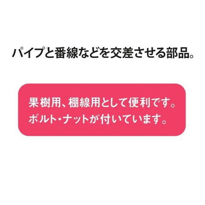 ミニフック 22 22mm用 渡辺パイプ 農業用 ビニールハウス用 自在接続金具 交差 部品 果樹用 棚線用 ワイヤー 2