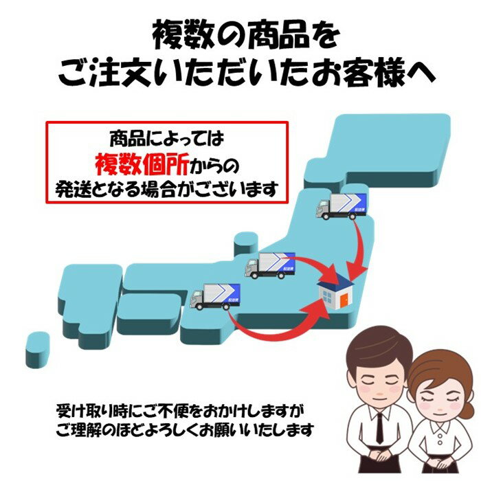 ビニエースTジョイント 渡辺パイプ 農業用 ビニールハウス用 ジョイント 部品 部材 金具 ビニエース専用 接続