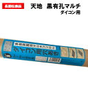 【訳あり処分品】天地家庭菜園用マルチ ダイコン用 0.02mm厚×95cm幅×50m 9230 条間45cm 株間30cm 穴径60mm 2列千鳥 黒マルチ 有孔マルチ ホールマルチ 家庭菜園 大根 保温 防草 アウトレット