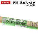 【訳あり処分品】天地家庭菜園用マルチ ハクサイ用 0.02mm厚×95cm幅×50m 9245 条間45cm 株間45cm 穴径60mm 2列千鳥 黒マルチ 有孔マルチ ホールマルチ 家庭菜園 はくさい 保温 防草 アウトレット
