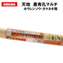 【訳あり処分品】天地家庭菜園用マルチ ホウレンソウ・タマネギ用 0.02mm厚×95cm幅×50m 9515 条間15cm 株間15cm 穴径45mm 5列並列 黒マルチ 有孔マルチ ホールマルチ 家庭菜園 ほうれん草 玉ねぎ 保温 防草 アウトレット