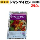 【委託先より直送】 ジマンダイセン水和剤 250g 殺菌剤 防除 農薬 日産化学 果樹 野菜 家庭菜園