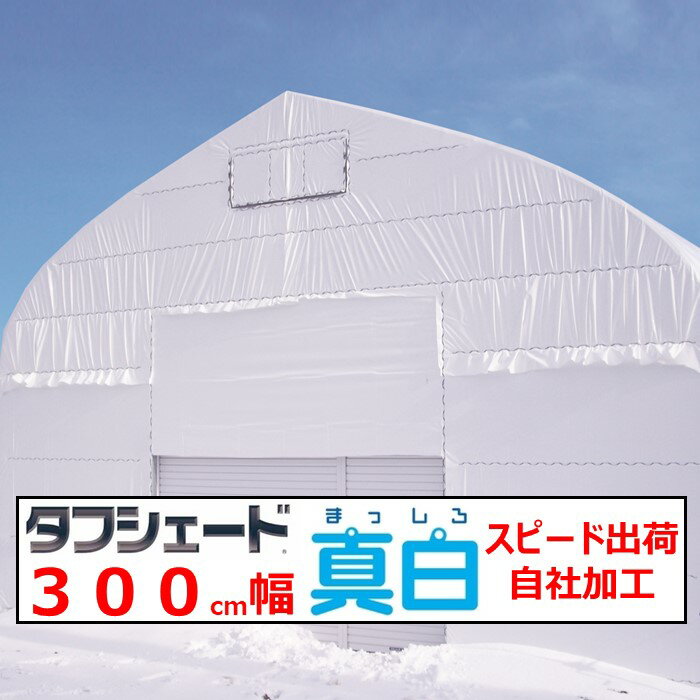 タフシェード真白 まっしろ 0.15mm厚 300cm幅 POフィルム 白色 W＆W 両面ホワイトタイプ 遮熱 遮光 農業用 ビニールハウス用 農機具倉庫 農作業場所 希望の長さ（m）を個数で入力 住化積水 スピード出荷 自社加工