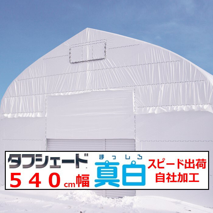 タフシェード真白 まっしろ 0.15mm厚 540cm幅 POフィルム 白色 W＆W 両面ホワイトタイプ 遮熱 遮光 農業用 ビニールハウス用 農機具倉庫 農作業場所 希望の長さ（m）を個数で入力 住化積水 スピード出荷 自社加工