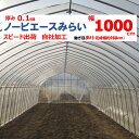 ノービエースみらい 0.1mm厚 1000cm幅 農ビ 透明 農業用 ビニールハウス用 トマト キュウリ ナス ピーマン 家庭菜園 希望長さ(m)を数量に入力 ...