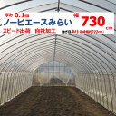 ノービエースみらい 0.1mm厚 730cm幅 農ビ 透明 農業用 ビニールハウス用 トマト キュウリ ナス ピーマン 家庭菜園 希望長さ(m)を数量に入力 三...