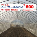 ノービエースみらい 0.1mm厚 800cm幅 農ビ 透明 農業用 ビニールハウス用 トマト キュウリ ナス ピーマン 家庭菜園 希望長さ(m)を数量に入力 三...