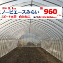ノービエースみらい 0.1mm厚 960cm幅 農ビ 透明 農業用 ビニールハウス用 トマト キュウリ ナス ピーマン 家庭菜園 希望長さ(m)を数量に入力 三...