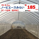 ノービエースみらい 0.1mm厚 185cm幅 農ビ 透明 農業用 ビニールハウス用 トマト キュウリ ナス ピーマン 家庭菜園 希望長さ(m)を数量に入力 三...