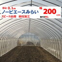 ノービエースみらい 0.1mm厚 200cm幅 農ビ 透明 農業用 ビニールハウス用 トマト キュウリ ナス ピーマン 家庭菜園 希望長さ(m)を数量に入力 三...