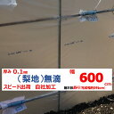 梨地(無滴) 0.1mm厚 600cm幅 農ビ 散乱光 ナシジ 農業用 ビニールハウス用 トマト イチゴ 育苗 家庭菜園 三菱 希望の長さ(m)を数量に入力 三...