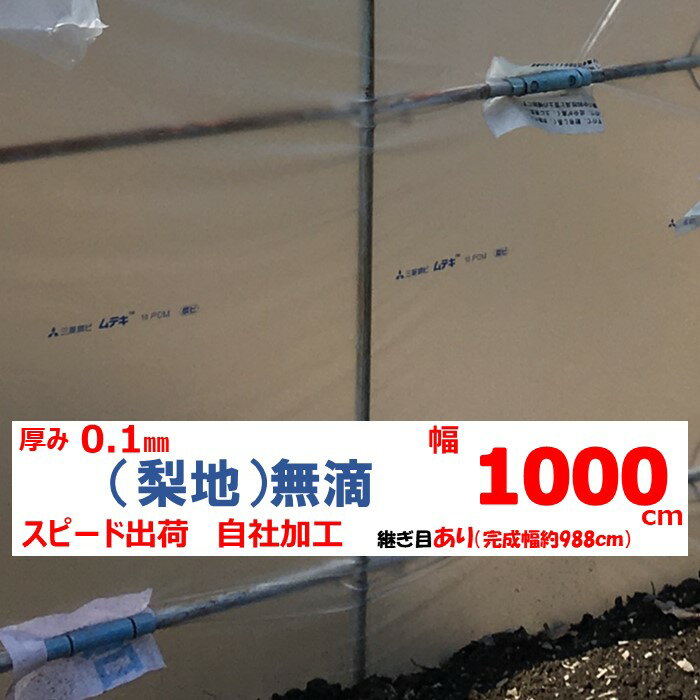 梨地（無滴） 0.1mm厚 1000cm幅 農ビ 散乱光 ナシジ 農業用 ビニールハウス用 トマト イチゴ 育苗 家庭菜園 三菱 希望の長さ（m）を数量に入力 三菱ケミカルアグリドリーム 継ぎ目あり スピード出荷 自社加工