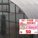 花野果Sun−X サンクロス 0.15mm厚 50cm幅 4枚セット POフィルム POフイルム 散乱光 梨地 ナシジ 農業用 ビニールハウス用 ミニトマト イ...