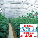 みかど長寿 0.05mm厚 460cm幅 POフィルム 透明 農業用 ビニールハウス用 内張り カーテン 保温 耐久 作物 希望の長さ(m)を数量に入力 みかど化工 スピード出荷 自社加工 切り売り カット売り