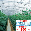 みかど長寿 0.07mm厚 300cm幅 POフィルム 透明 農業用 ビニールハウス用 内張り カーテン 保温 耐久 作物 希望の長さ(m)を数量に入力 みかど...