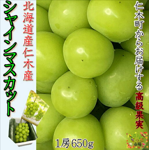 シャインマスカット 今年度初入荷！ 北海道仁木産 1房 650g 化粧箱にお入れして発送致します。 産地直送 送料無料 高級ぶどう ぶどう 低農薬 ギフト 12月まで フルーツ 高級 果物 北海道産 高級ブドウ フルーツギフト 秋の味覚 シャイン ギフト 高級 贈答用 北海道産直グルメ