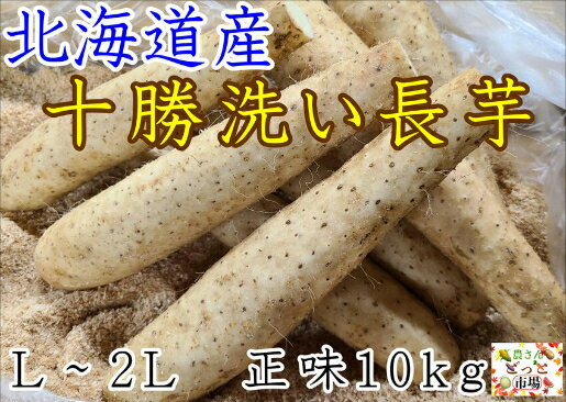 【送料無料】 十勝洗い 長芋 北海道産 L〜2L 正味 10kg 長いも やまといも 大和芋 ヤマトイモ とろろ 栄養満点 国産 十勝 北海道 特産品 国産野菜 根菜 お取り寄せ グルメ 食物繊維 とろろ芋 大きめ 長薯 トロロ 山うなぎ 冬野菜 野菜 新物 食品 大容量 大きい