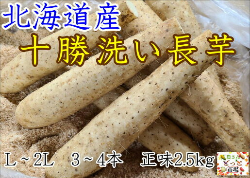 【送料無料】 十勝洗い 長芋 北海道産 L〜2L 正味 2.5kg 長いも やまといも 大和芋 ヤマトイモ とろろ 栄養満点 国産 十勝 北海道 特産品 国産野菜 根菜 お取り寄せ グルメ 食物繊維 とろろ芋 …