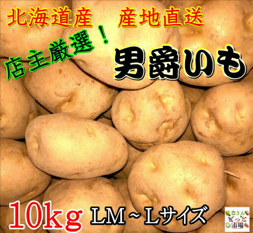 送料無料】 北海道産 じゃがいも 男爵 LM〜Lサイズ 10kg 大容量 男爵いも じゃが芋 国産じゃがいも ジ..