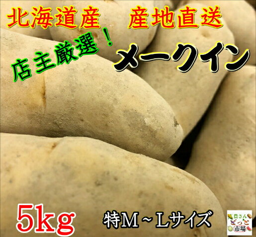 【送料無料】 北海道産 じゃがいも メークイン 特M〜Lサイズ 5kg 大容量 高品質 箱買い まとめ買い じゃが芋 ジャガ芋 ジャガイモ メイクイン 北海道じゃがいも ジャガイモ 馬鈴薯 美味しい しっとり 北海道 即出荷 国産 北海道産直グルメ 野菜王国