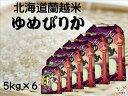 北海道 蘭越産 お米 蘭越米 ゆめぴりか 5kg×6 毎月100セット限定 北海道米 精米 令和4年産 おいしいお米 紙帯 おこめ 米 令和4年 美味しい 北海道産ゆめぴりか 白米 30kg 30キロ 米30kg 米30キロ 米30k お米30k お米30キロ お米30 白米30キロ ユメピリカ 家庭用 送料無料