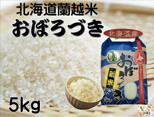 北海道蘭越産のお米 蘭越米新米おぼろづき 5kg 毎月100セット限定！北海道米 精...