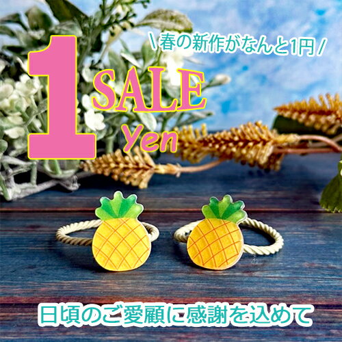 【1円Sale】パイナップル ミニゴム (2