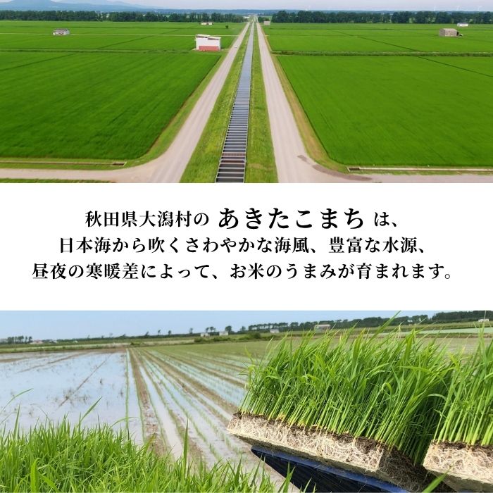 【玄米】あきたこまち30kg×2紙袋 秋田県産特別栽培米 大潟村のお米【令和7年産】
