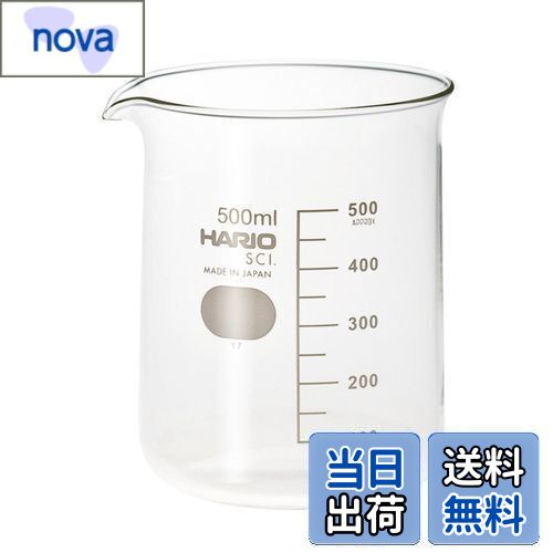 HARIO(ハリオ) B-500 SCI ビーカー500ml