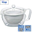 HARIO(ハリオ) 茶茶急須 禅 実用容量300ml 耐熱ガラス CHZ-30T
