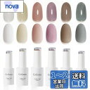 ジェルネイル Coikaze カラージェル ネイルカラー ネイルアート シアカラージェル UV・LED対応 6色入り 10ml