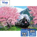 エポック社 1000ピース ジグソーパズル 日本風景 桜と大井川鐵道-静岡 (50×75cm) 09-020s のり付き ヘラ付き 点数券付き EPOCH