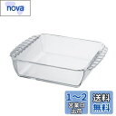 HARIO(ハリオ) 耐熱ガラス製 スクエア皿 1300mL BUONO kitchen グラタン皿 日本製 クリア HKOZ-130-BK