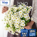siawadeky 造花 花束 デイジー 4束 80輪花 人工観葉植物 菊 生花みたい DIY 装飾的な花 飾り 写真撮影 贈り物 開店祝い 誕生日 お見舞い ...