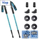 Glvaner トレッキングポール 2本セット トレッキングステッキ 登山 ストック アンチショック機能付 6061アルミ製 軽量300g 3段伸縮式 ウォーキ...