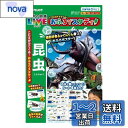 パイロットコーポレーション(PILOT CORPORATION) こたえがでてくる! おふろでスタディ 学研の図鑑LIVE 昆虫