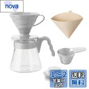 HARIO(ハリオ) V60コーヒーサーバー02 セット ペールグレー 1-4杯用 コーヒードリップ 日本製 VCSD-02PGR