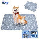 洗えるペットシーツ Toyuxe ペットシーツ 洗える 2枚セット 滑り止め 犬シーツワイド おしっこシート ペット ペットシーツ 消臭 ペット シーツ 洗える...