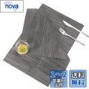 Annhua ランチョンマット 45x30cm おしゃれ 食卓マット 2枚セット PVC製 ランチマット プレースマット 拭けるランチマット 北欧風 撥水 丸洗...