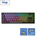 DrunkDeer G65 ラピッドトリガー メカニカルキーボード 磁気スイッチ ゲーム用 RGB PBTキーキャップ 65%サイズ 68キー コンパクト 有線 ゴースト防止 ブラック