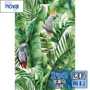 Juangfia 壁紙 シール 鳥柄 壁紙シート 剥がせる壁紙 防水 リメイクシート ウォールステッカー 透けない カッティングシート リフォームシート DIY 熱帯