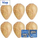Neiang ハチの巣ガード 6個入り 蜂の巣 ダミー スズメバチの巣 ダミーハチの巣 蜂よけ グッズ 吊るす 屋外