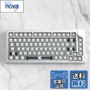 DrunkDeer A75 ラピッドトリガー メカニカルキーボード TKL アルミニウムケース 有線磁気スイッチ コンパクト 82キー RGB キーキャップなし ノブ付き シルバー ホワイト